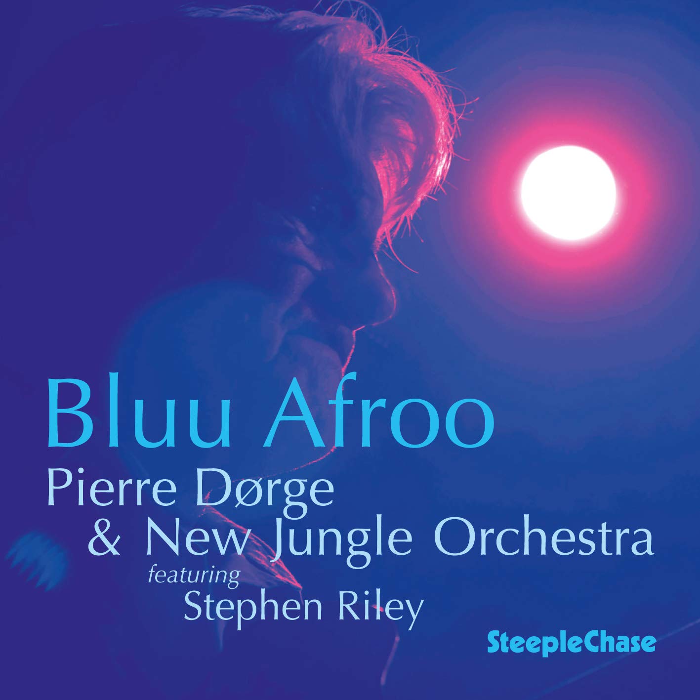 Pierre Dörge & New Jungle Orchestra feat. Stephen Riley - Bluu Afroo