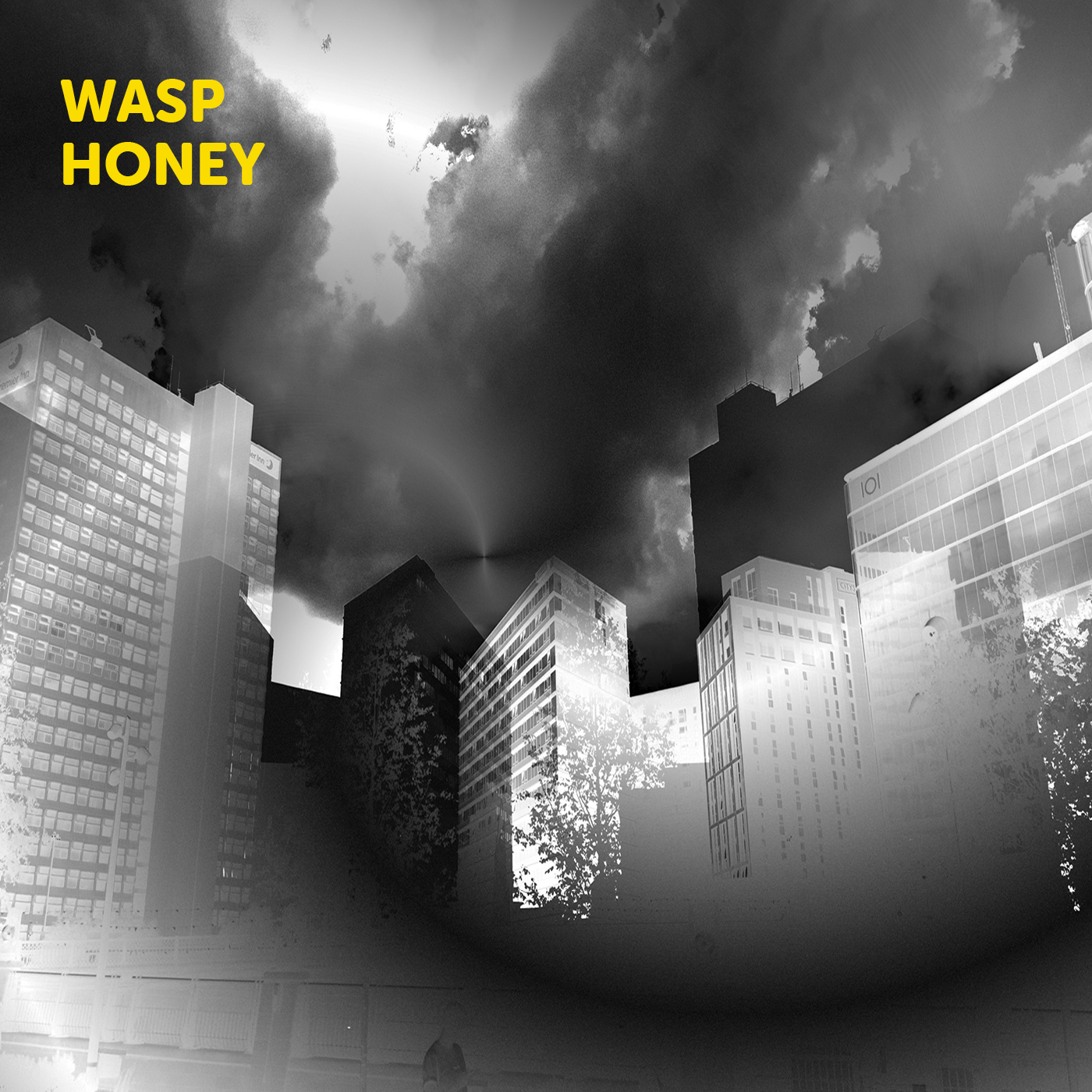 Archer/Jasnoch/Farmer/Allatson - Wasp Honey