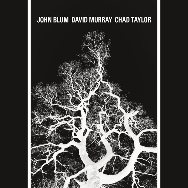 Blum, John/ Murray, David/ Taylor, Chad - The Recursive Tree